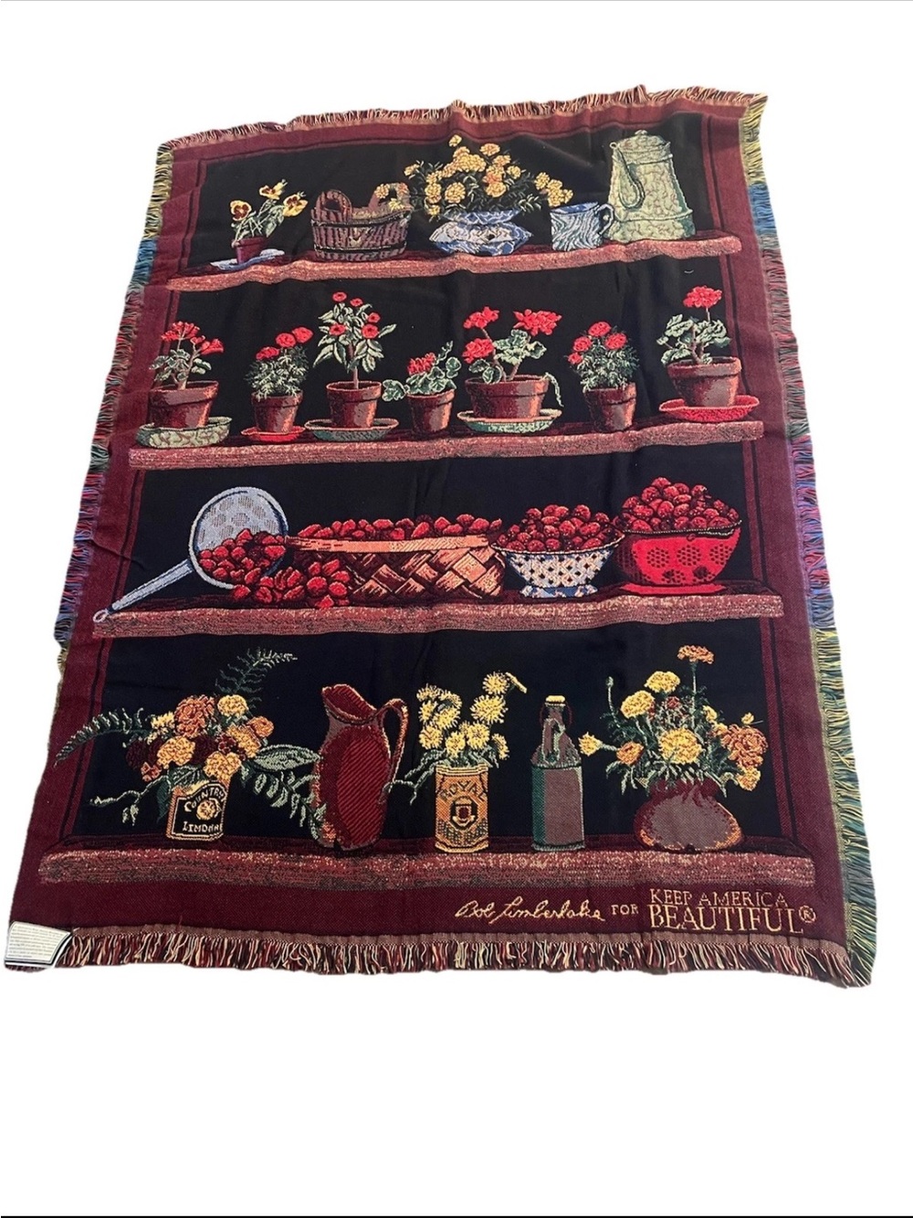 NWT Bob Timberlake “August colors” Throw 52x68 Cottagecore Whimsy Farmhouse